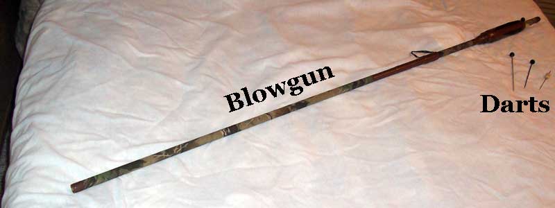 blowgun